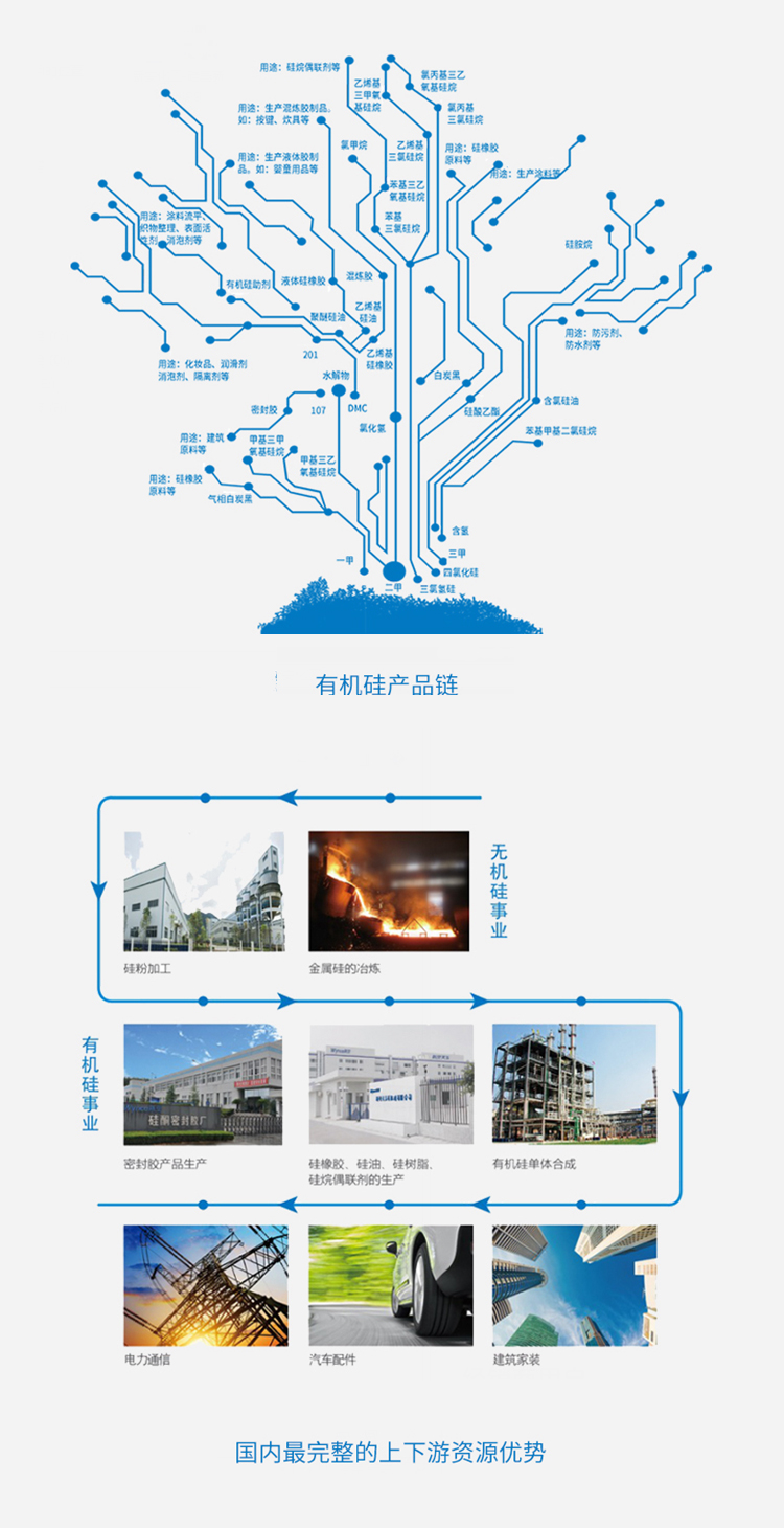 硅基新资料